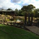 waterpond and Landscaping Cockatoo Melbourne