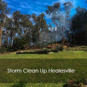 landscaping Healesville