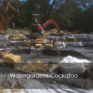 Cockatoo landscaping