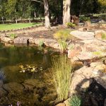 Water gardens in Cockatoo, Victoria